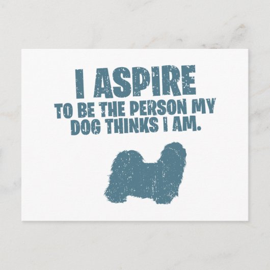 Carte Postale Shih Tzu (Devant)