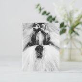 Carte Postale Shih Tzu (Debout devant)