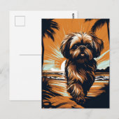 Carte Postale Shih-tzu à la plage (Devant / Derrière)