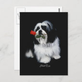Carte Postale Shih Tzu Avec Rose (Devant / Derrière)
