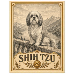 Carte Postale Shih Tzu, chien du patrimoine vintage