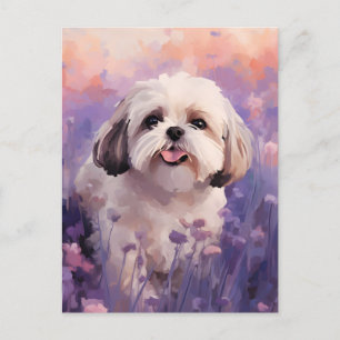 Carte Postale Shih Tzu dans le champ Lavender