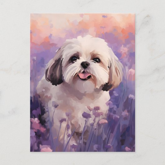 Carte Postale Shih Tzu dans le champ Lavender (Devant)