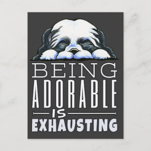 Carte Postale Shih Tzu Être adorable