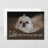 Carte postale Shih Tzu Flat Fer Humour cheveux (Devant / Derrière)
