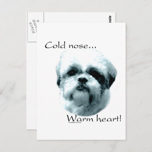 Carte Postale Shih Tzu Froid Nez Chaud Coeur (Devant / Derrière)