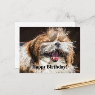 Carte Postale Shih tzu hurle rire drôle Joyeux anniversaire