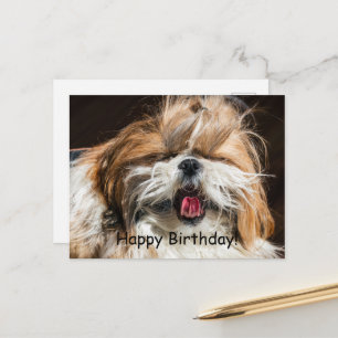 Carte Postale Shih tzu hurler langue drôle mignon Joyeux anniver