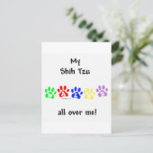 Carte Postale Shih Tzu Marche Sur Vous (Debout devant)