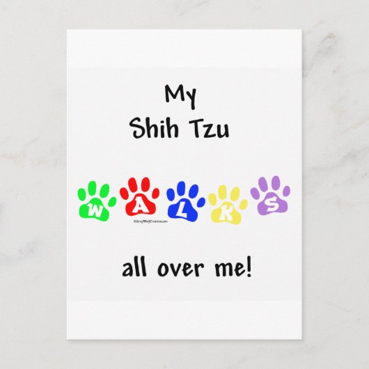 Carte Postale Shih Tzu Marche Sur Vous (Devant)