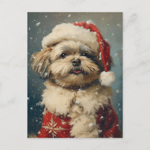Carte Postale Shih Tzu Noël