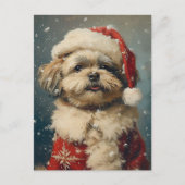 Carte Postale Shih Tzu Noël (Devant)