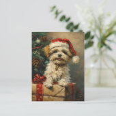 Carte Postale Shih Tzu Noël (Debout devant)