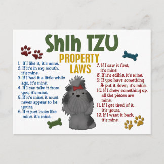 Carte Postale Shih Tzu, propriété Lois 4