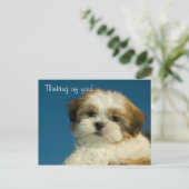 Carte Postale Shih Tzu Puppy "Penser à vous" PostCard (Debout devant)