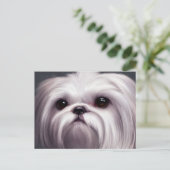 Carte postale Shih Tzu Salutations (Debout devant)