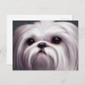 Carte postale Shih Tzu Salutations (Devant / Derrière)