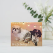 Carte Postale Shih Tzu Salutations (Debout devant)