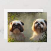 Carte postale Shih Tzu Salutations (Devant / Derrière)