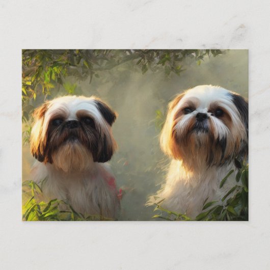 Carte postale Shih Tzu Salutations (Devant)