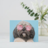 Carte postale Shih Tzu Salutations (Debout devant)