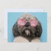 Carte postale Shih Tzu Salutations (Devant / Derrière)