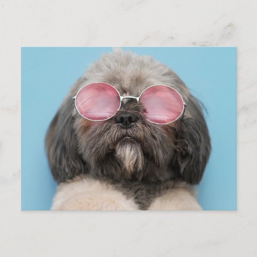 Carte postale Shih Tzu Salutations (Devant)