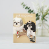 Carte Postale Shih Tzu Salutations (Debout devant)
