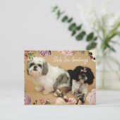 Carte Postale Shih Tzu Salutations (Debout devant)