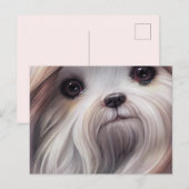 Carte postale Shih Tzu Salutations (Devant / Derrière)