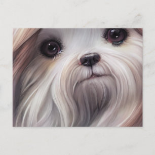 Carte postale Shih Tzu Salutations