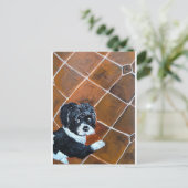 Carte Postale Shih Tzu sur Terrace Peinture d'Alfred Fox (Debout devant)