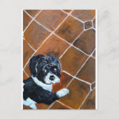 Carte Postale Shih Tzu sur Terrace Peinture d'Alfred Fox (Devant)