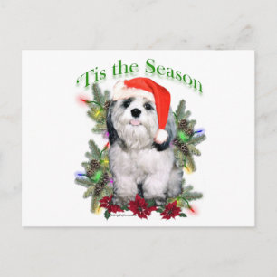 Carte Postale Shih Tzu ‘Tis