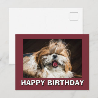 Carte Postale Shih tzu yawning tongue funny cute Happy birthday