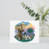 Carte Postale Shih Tzus (quatre) (Debout devant)