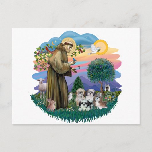 Carte Postale Shih Tzus (quatre) (Devant)