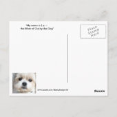 Carte Postale Shih TzuX nommé Liz Postcard (Dos)