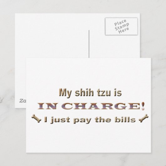 Carte Postale shihtzu (Devant / Derrière)