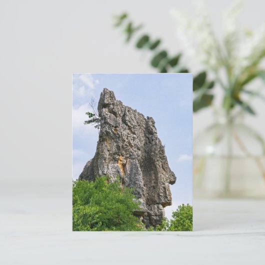 Carte Postale Shilin pinnacles Forêt de pierre - Yunnan, Chine, (Debout devant)