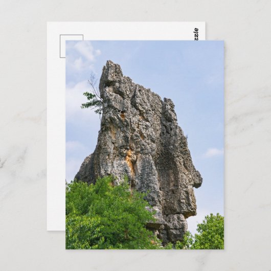 Carte Postale Shilin pinnacles Forêt de pierre - Yunnan, Chine,  (Devant / Derrière)