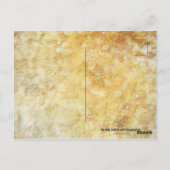 Carte postale Shimmerfly (Dos)