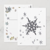 Carte postale Shimmersive Snowflake (Devant / Derrière)