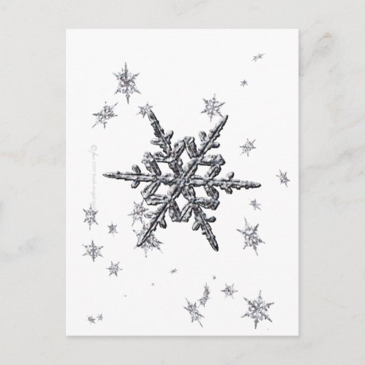 Carte postale Shimmersive Snowflake (Devant)