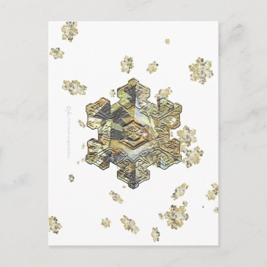 Carte postale Shimmersive Snowflake (Devant)