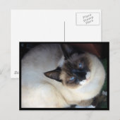 Carte Postale Shiva la raquette de neige (Devant / Derrière)