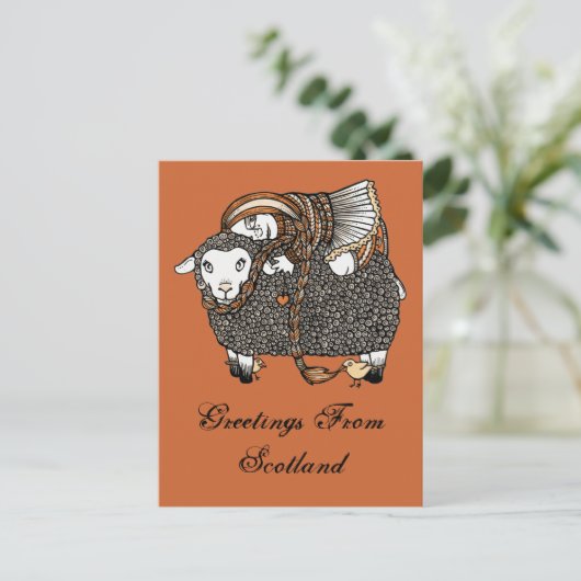 Carte postale Shonaghs Sheep (Debout devant)