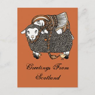 Carte postale Shonaghs Sheep