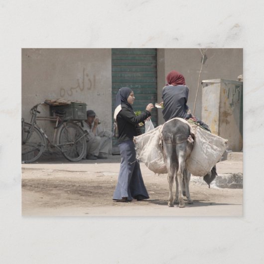 Carte Postale Shopping au Caire (Devant)