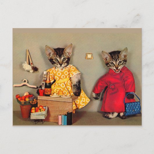 Carte Postale shopping tabby kitten et caisson tabby kitten (Devant)